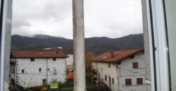 Dos casas independientes más local y jardín en Arantza