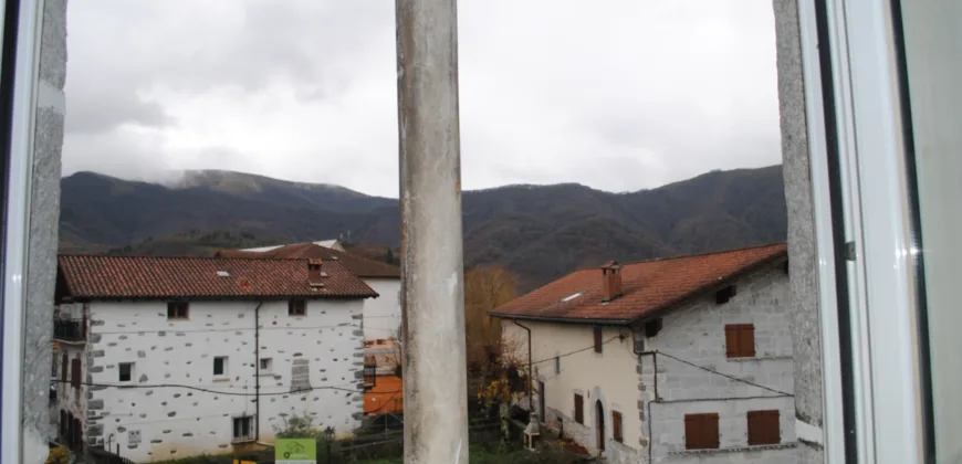 Dos casas independientes más local y jardín en Arantza