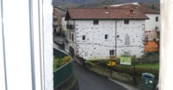 Dos casas independientes más local y jardín en Arantza