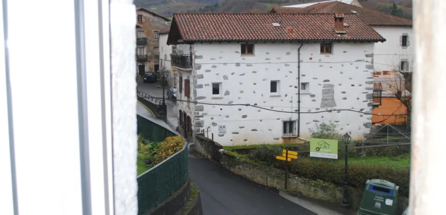 Dos casas independientes más local y jardín en Arantza