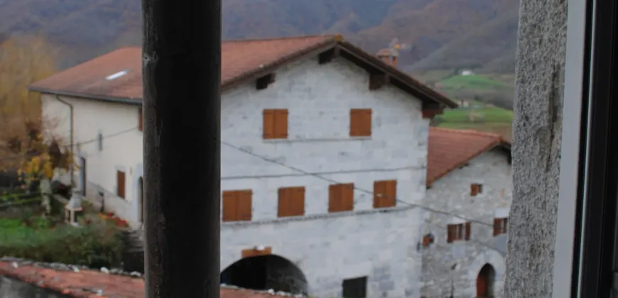 Dos casas independientes más local y jardín en Arantza