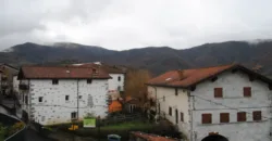 Dos casas independientes más local y jardín en Arantza