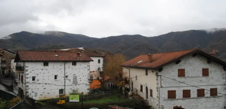 Dos casas independientes más local y jardín en Arantza