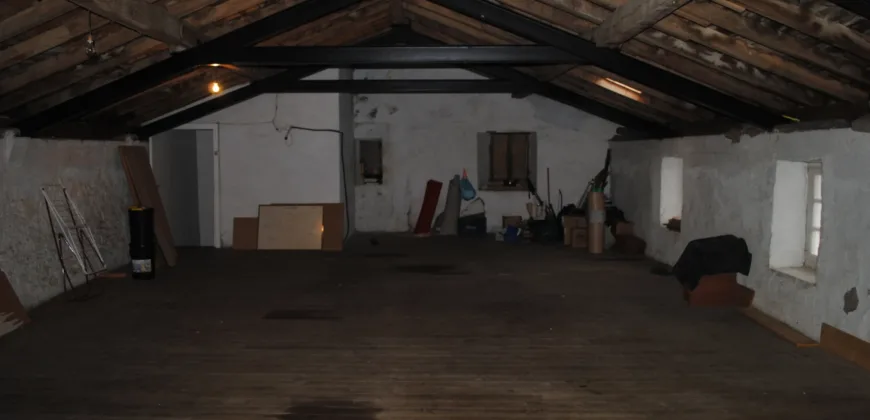 Dos casas independientes más local y jardín en Arantza