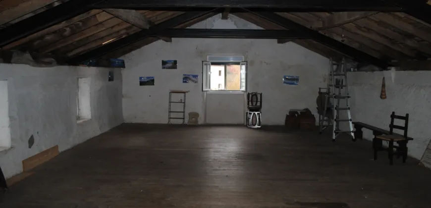 Dos casas independientes más local y jardín en Arantza