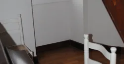 Dos casas independientes más local y jardín en Arantza