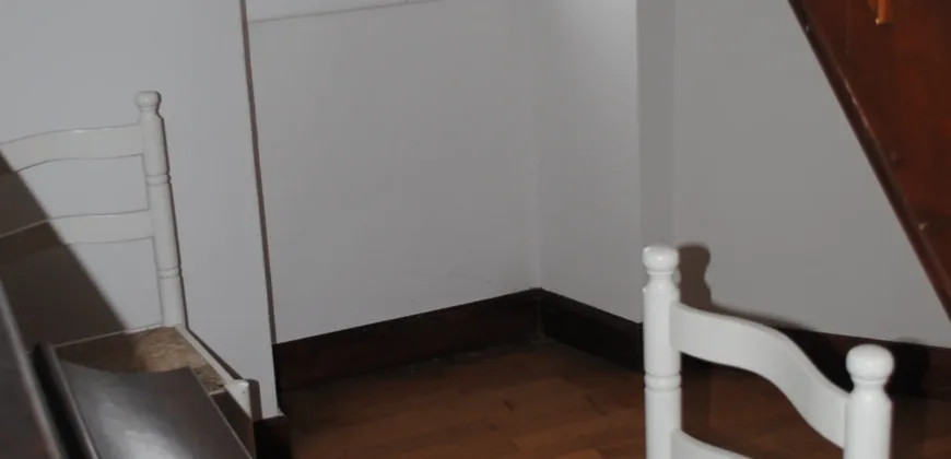 Dos casas independientes más local y jardín en Arantza