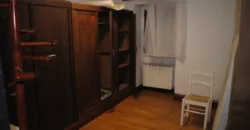 Dos casas independientes más local y jardín en Arantza