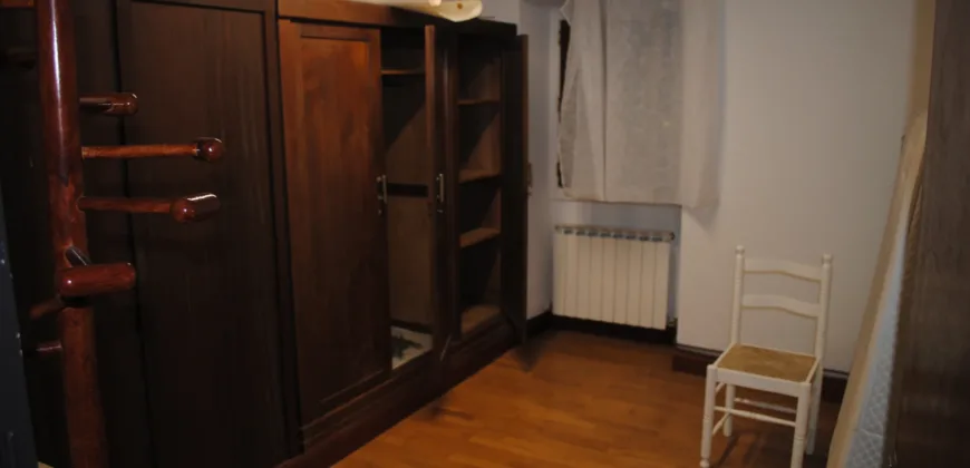 Dos casas independientes más local y jardín en Arantza