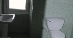 Dos casas independientes más local y jardín en Arantza