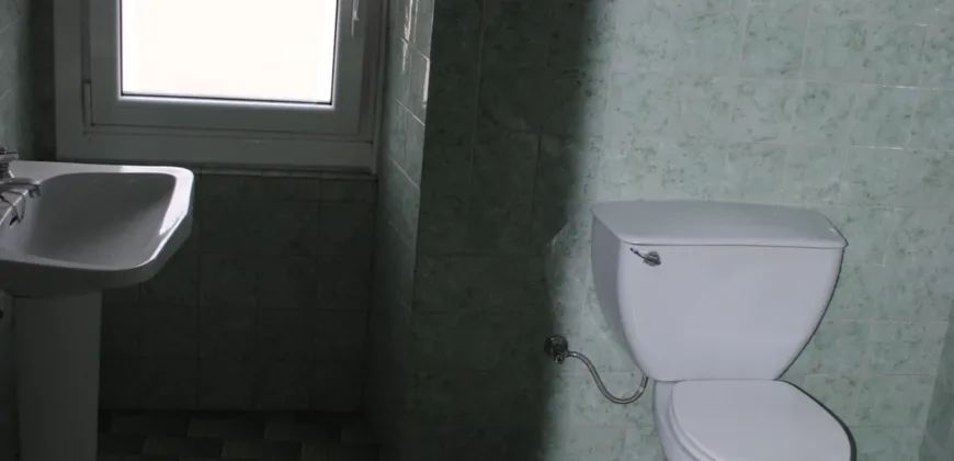 Dos casas independientes más local y jardín en Arantza