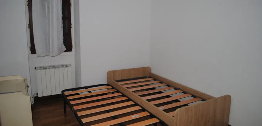 Dos casas independientes más local y jardín en Arantza