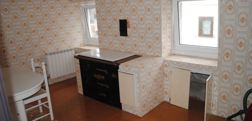 Dos casas independientes más local y jardín en Arantza