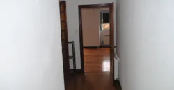 Dos casas independientes más local y jardín en Arantza