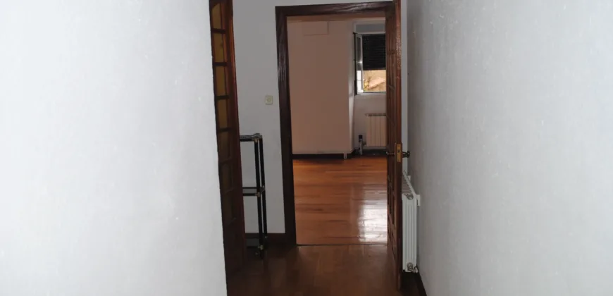 Dos casas independientes más local y jardín en Arantza