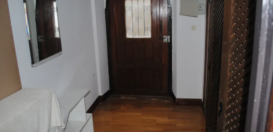 Dos casas independientes más local y jardín en Arantza