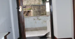 Dos casas independientes más local y jardín en Arantza