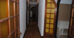 Dos casas independientes más local y jardín en Arantza