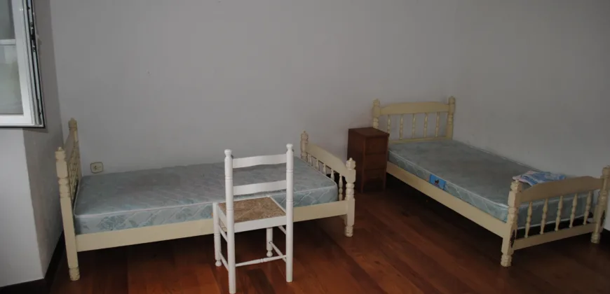 Dos casas independientes más local y jardín en Arantza