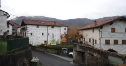 Dos casas independientes más local y jardín en Arantza