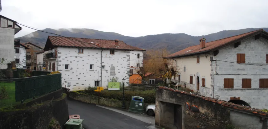 Dos casas independientes más local y jardín en Arantza