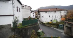 Dos casas independientes más local y jardín en Arantza