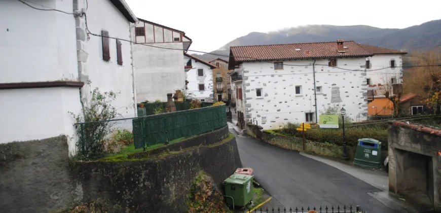 Dos casas independientes más local y jardín en Arantza
