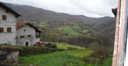 Dos casas independientes más local y jardín en Arantza