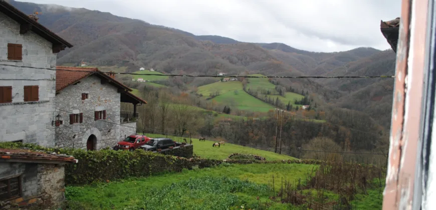 Dos casas independientes más local y jardín en Arantza