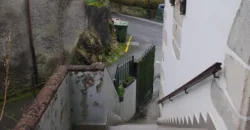 Dos casas independientes más local y jardín en Arantza