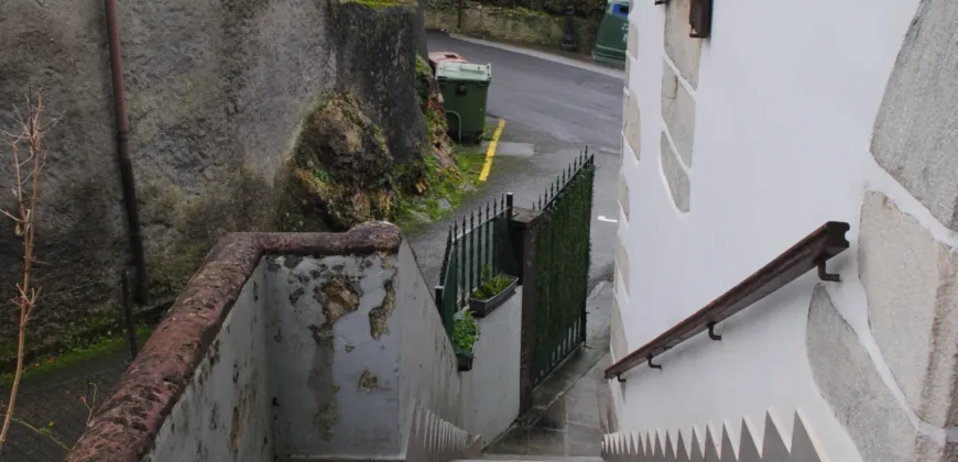 Dos casas independientes más local y jardín en Arantza