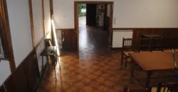 Dos casas independientes más local y jardín en Arantza