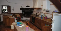 Dos casas independientes más local y jardín en Arantza