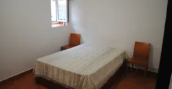 Dos casas independientes más local y jardín en Arantza