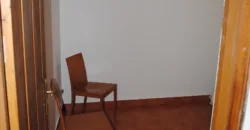 Dos casas independientes más local y jardín en Arantza