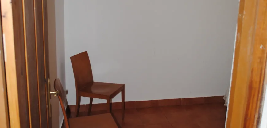 Dos casas independientes más local y jardín en Arantza