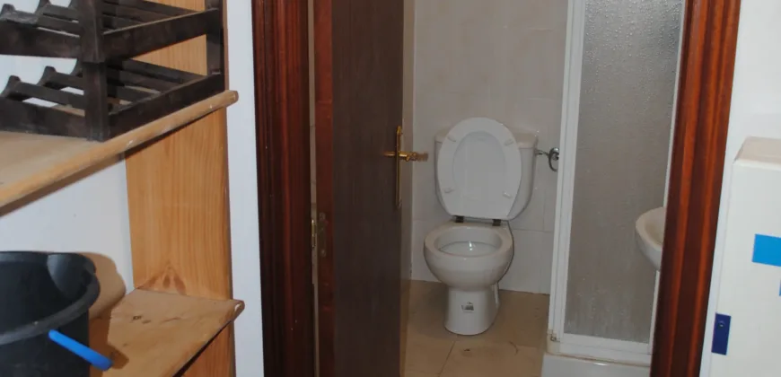 Dos casas independientes más local y jardín en Arantza