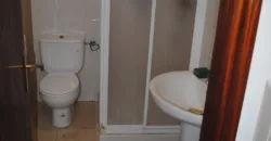 Dos casas independientes más local y jardín en Arantza