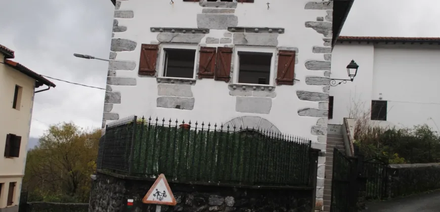Dos casas independientes más local y jardín en Arantza