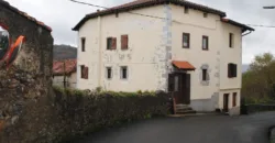 Dos casas independientes más local y jardín en Arantza