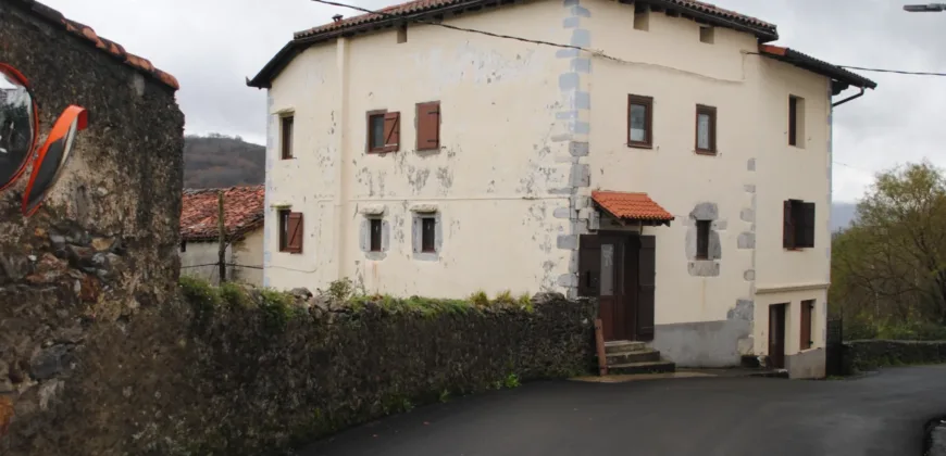 Dos casas independientes más local y jardín en Arantza