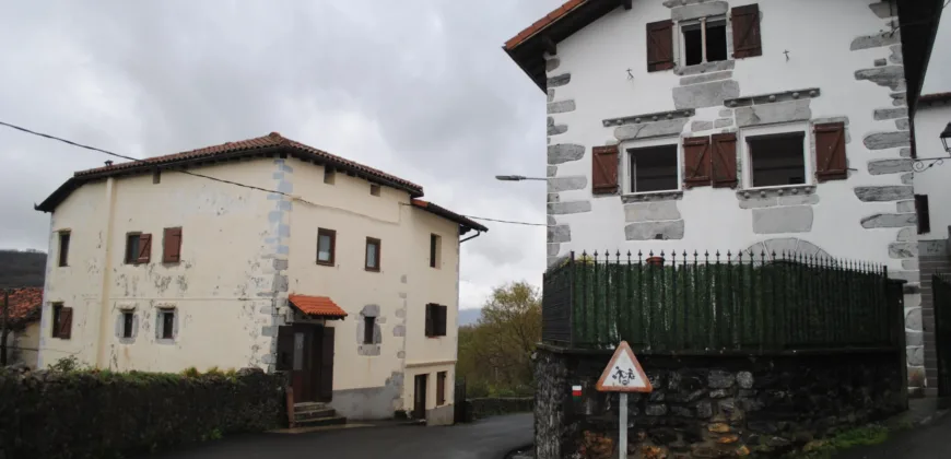 Dos casas independientes más local y jardín en Arantza