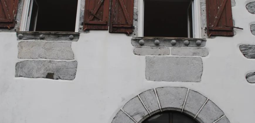 Dos casas independientes más local y jardín en Arantza