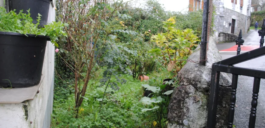 Dos casas independientes más local y jardín en Arantza