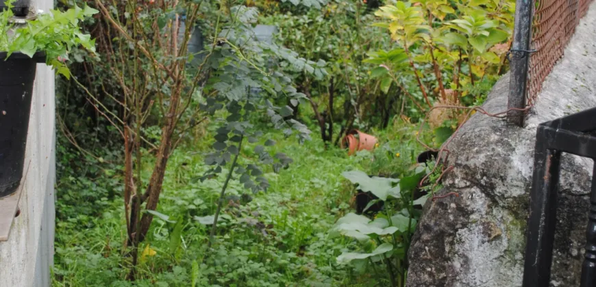 Dos casas independientes más local y jardín en Arantza