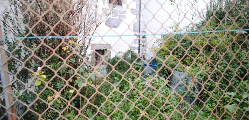 Dos casas independientes más local y jardín en Arantza