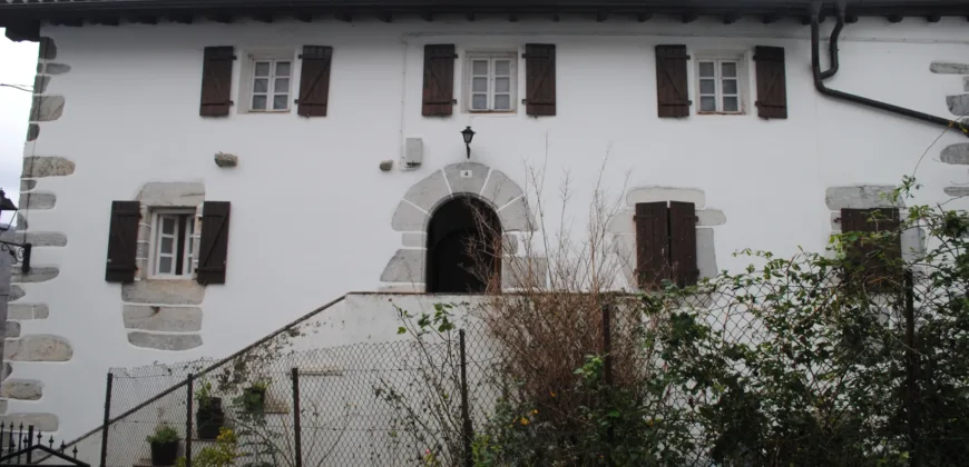 Dos casas independientes más local y jardín en Arantza
