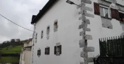 Dos casas independientes más local y jardín en Arantza