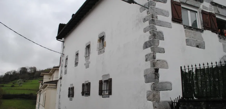 Dos casas independientes más local y jardín en Arantza