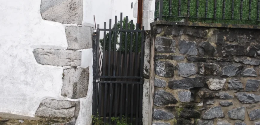 Dos casas independientes más local y jardín en Arantza